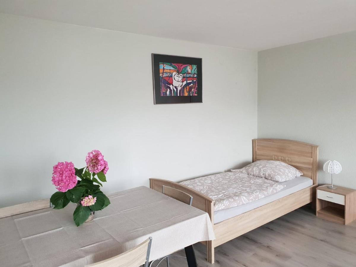 Mainzimmer Business Appartment - Monteurwohnung Mit Burgblick Wertheim Εξωτερικό φωτογραφία