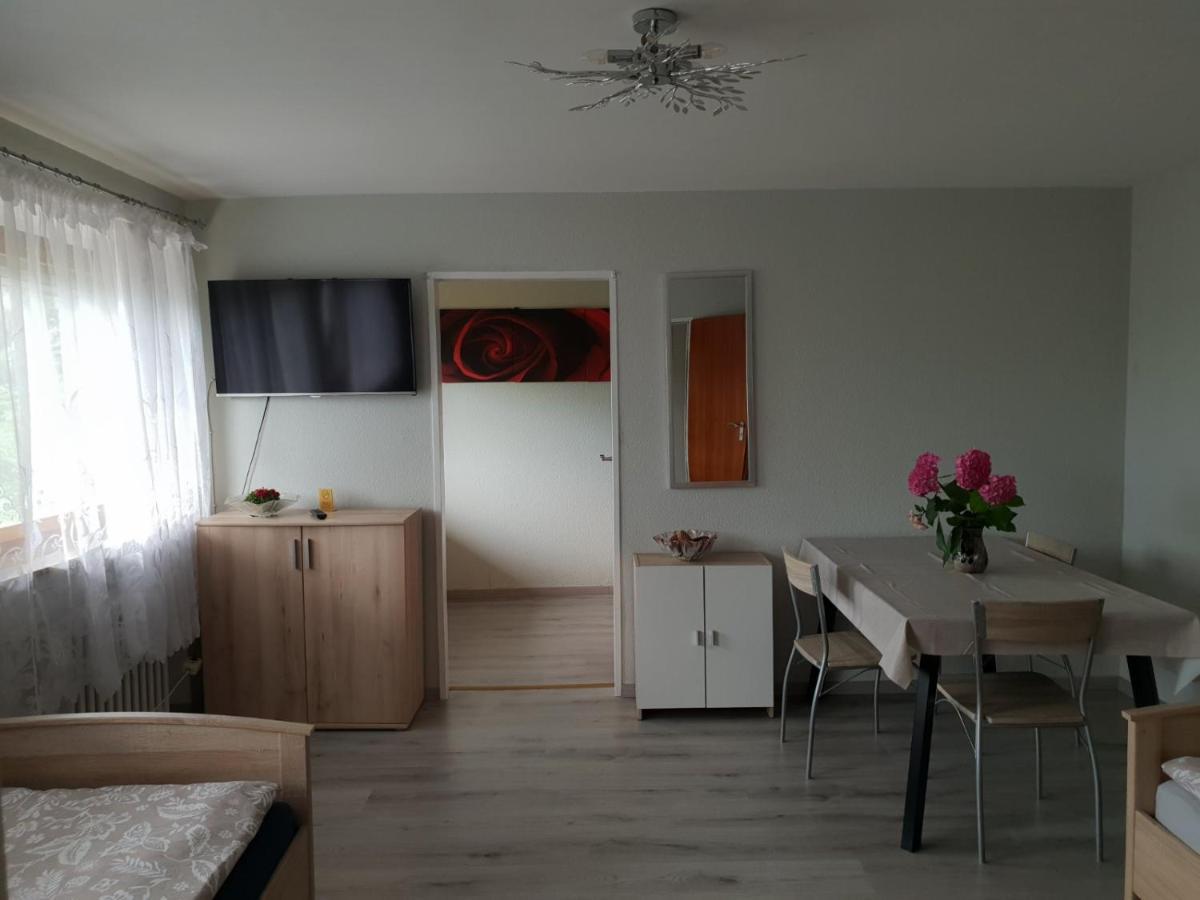 Mainzimmer Business Appartment - Monteurwohnung Mit Burgblick Wertheim Εξωτερικό φωτογραφία