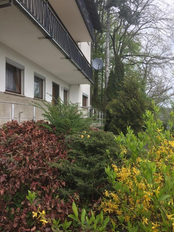 Mainzimmer Business Appartment - Monteurwohnung Mit Burgblick Wertheim Εξωτερικό φωτογραφία